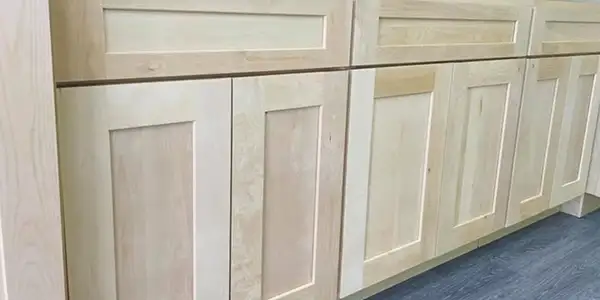 Versa Shaker (WS) Cabinets