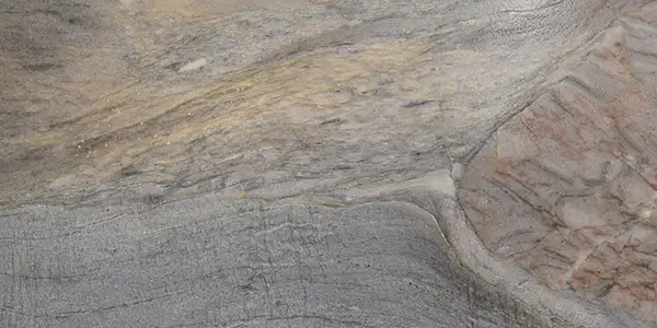 Fusion Leather Quartzite