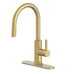 Allen+Roth Pull Down Faucet (Brushed Gold)