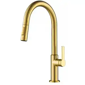Kraus Pull Down Faucet (Brushed Brass)