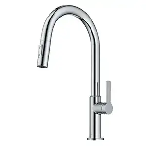 Kraus Pull Down Faucet (Chrome)