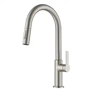 Kraus Pull Down Faucet (Stainless Steel)