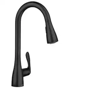 Moen Pull Down Faucet (Matte Black)