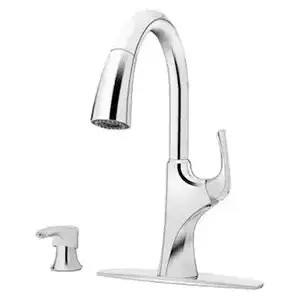Pfister Pull Down Faucet (Chrome)